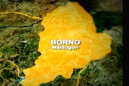 Borno attack