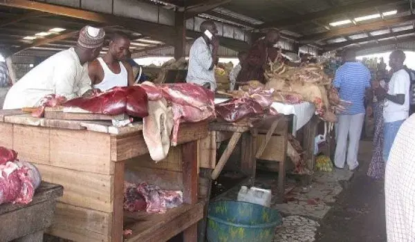 Meat